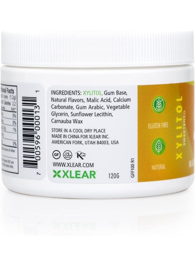 Spry Fresh Natural Xylitol Chewing Gum Dental Defense System - Aspartame-Free, Sugar-Free, Non-GMO, Gluten-Free (Fresh Fruit, 100 Count - Pack of 1) - Image 3
